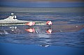 147 Andean Lagoons