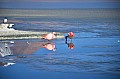 148 Andean Lagoons