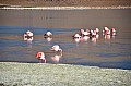 149 Andean Lagoons