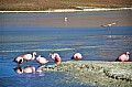 151 Andean Lagoons