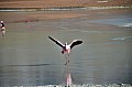 152 Andean Lagoons