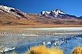 154 Andean Lagoons