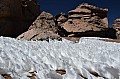 164 Siloli desert