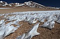 165 Siloli desert