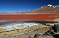 167 Red Lagoon