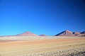 189 Dali desert