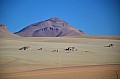 192 Dali desert