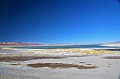 195 Green Lagoon