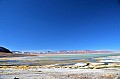196 Green Lagoon