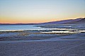 202 Salar