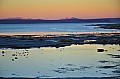 204 Salar