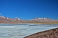 207 Salar