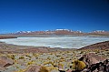 208 Salar