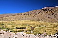 209 Salar