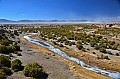 212 Salar