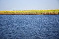 0001 Chobe river front
