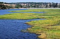 0006 Chobe river front