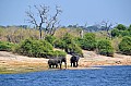 0013 Chobe river front