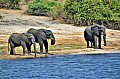 0015 Chobe river front
