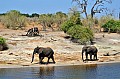 0016 Chobe river front