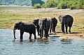 0017 Chobe river front