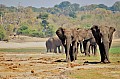0018 Chobe river front