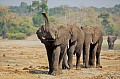0019 Chobe river front
