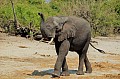 0020 Chobe river front