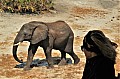 0021 Chobe river front