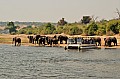 0022 Chobe river front