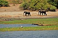 0023 Chobe river front