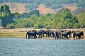 0024 Chobe river front