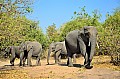 0030 Chobe river front