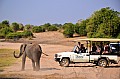 0031 Chobe river front