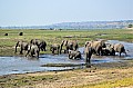 0033 Chobe river front