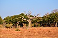 0044 Chobe river front