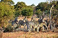0045 Chobe river front