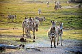 0047 Chobe river front