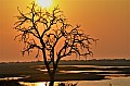 0051 Chobe river front