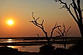 0052 Chobe river front