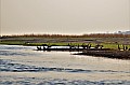 0056 Chobe river