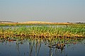 0061 Chobe river