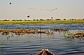 0062 Chobe river
