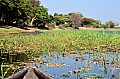 0064 Chobe river