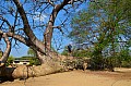 0070 Impalila Island