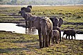 0077 Chobe NP