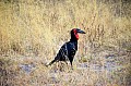 0078 Chobe NP