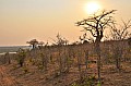 0081 Chobe NP