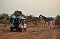 0104 Chobe NP