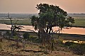 0105 Chobe NP